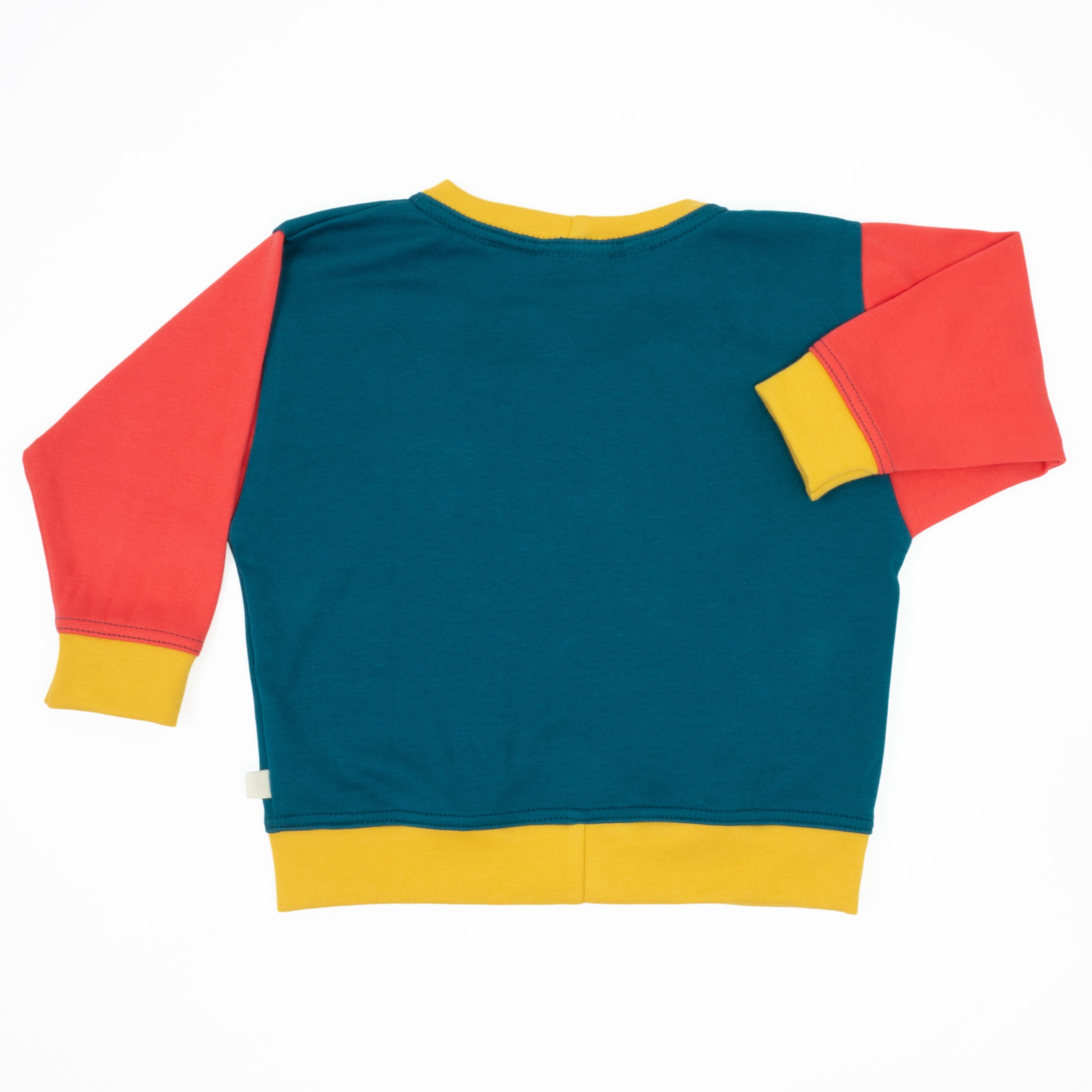 Colorblock Sweatshirt Dragonfly