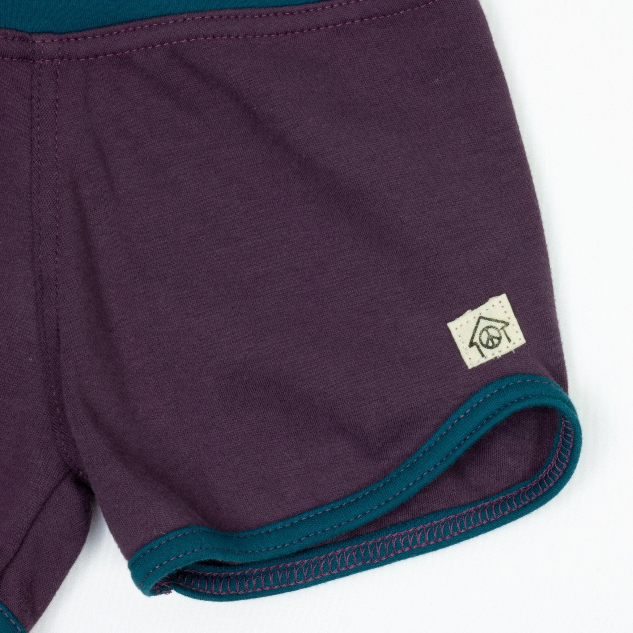 Gym Class Shorts Grape