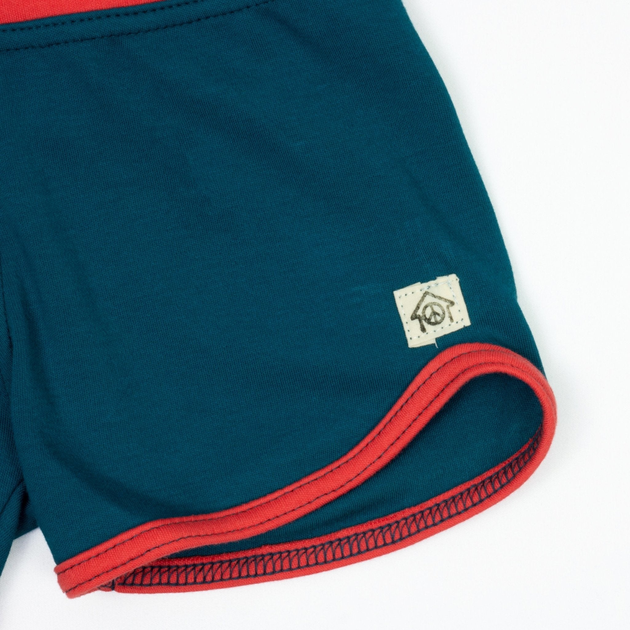 Gym Class Shorts Dragonfly