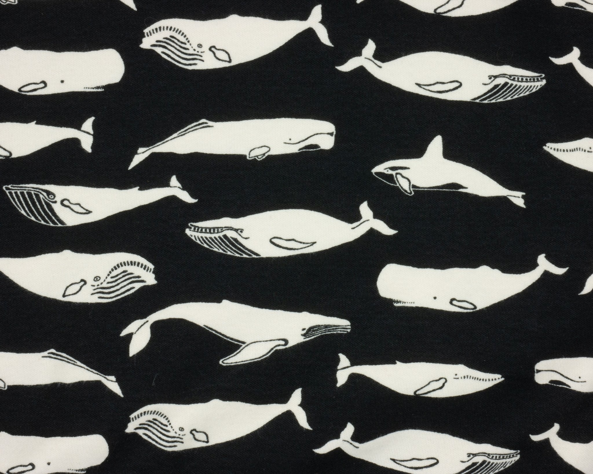 Limited Edition Whale Pod Pants Dark Sea