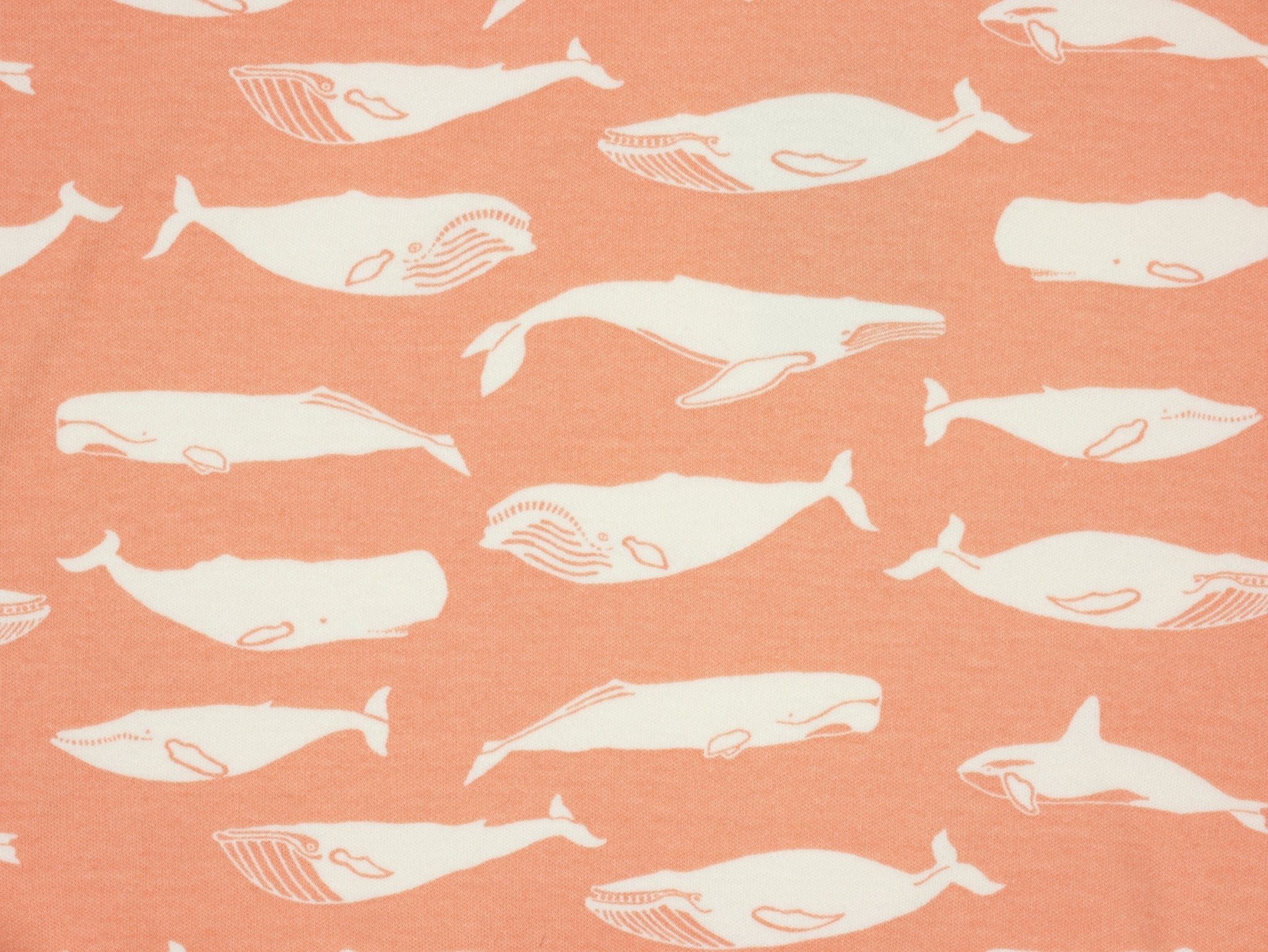 Limited Edition Whale Pod Sweatshirt Sea The Light
