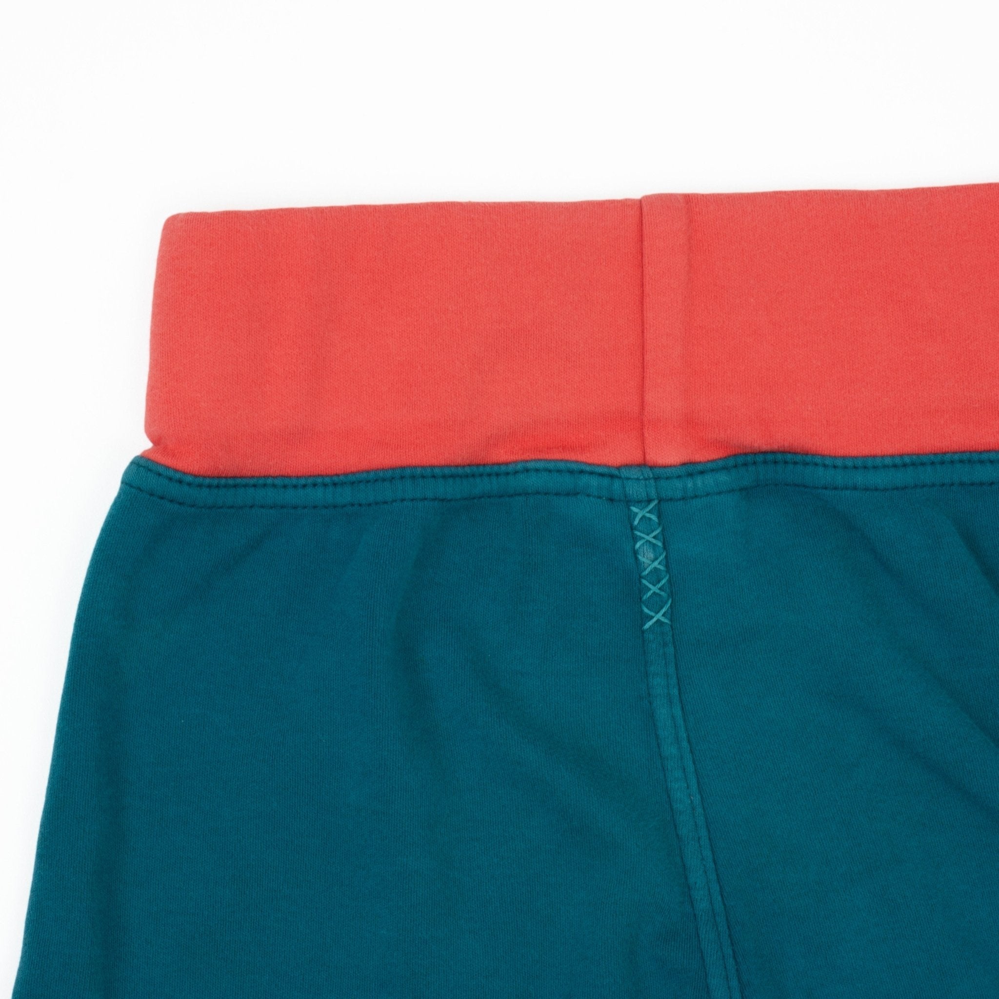 Preloved Dragonfly Gym Shorts Dragonfly