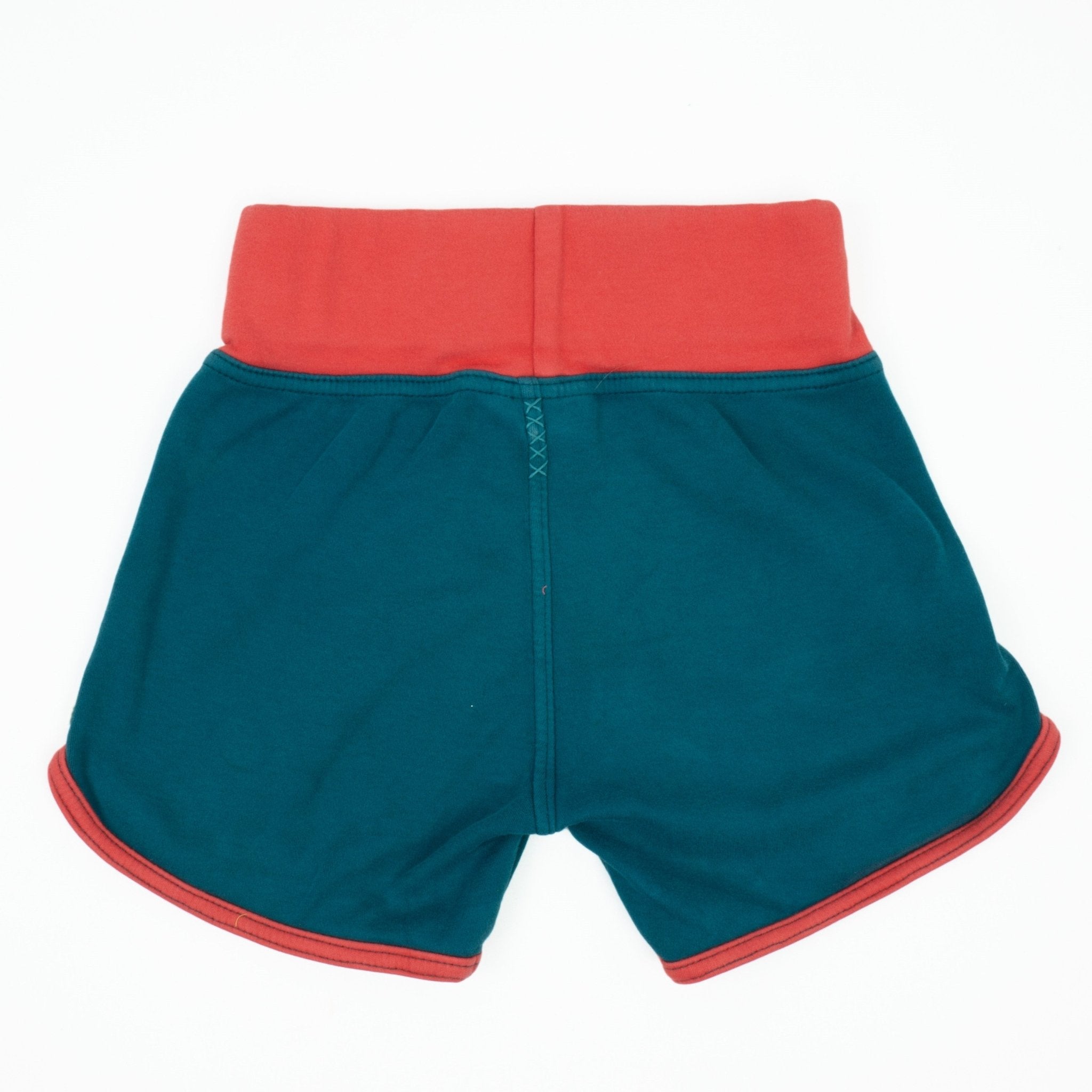 Preloved Dragonfly Gym Shorts Dragonfly