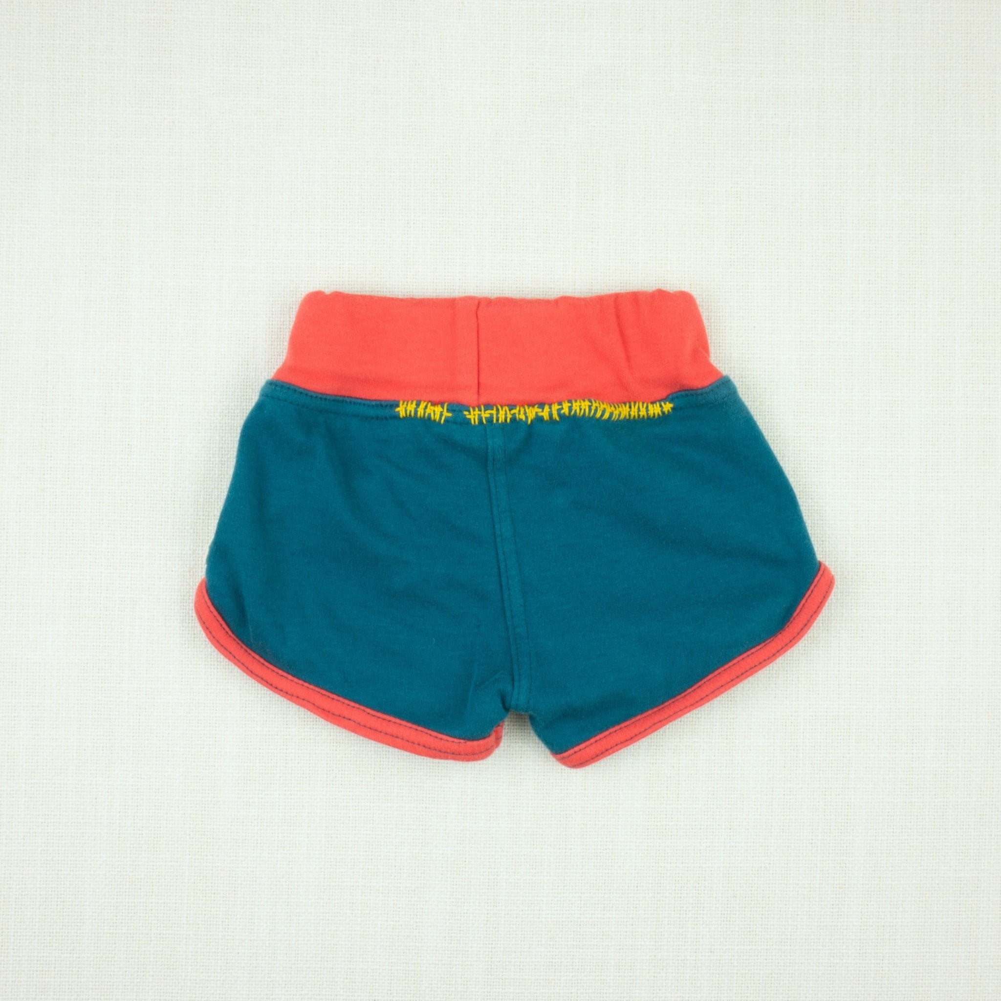 Preloved Dragonfly Gym Shorts Dragonfly