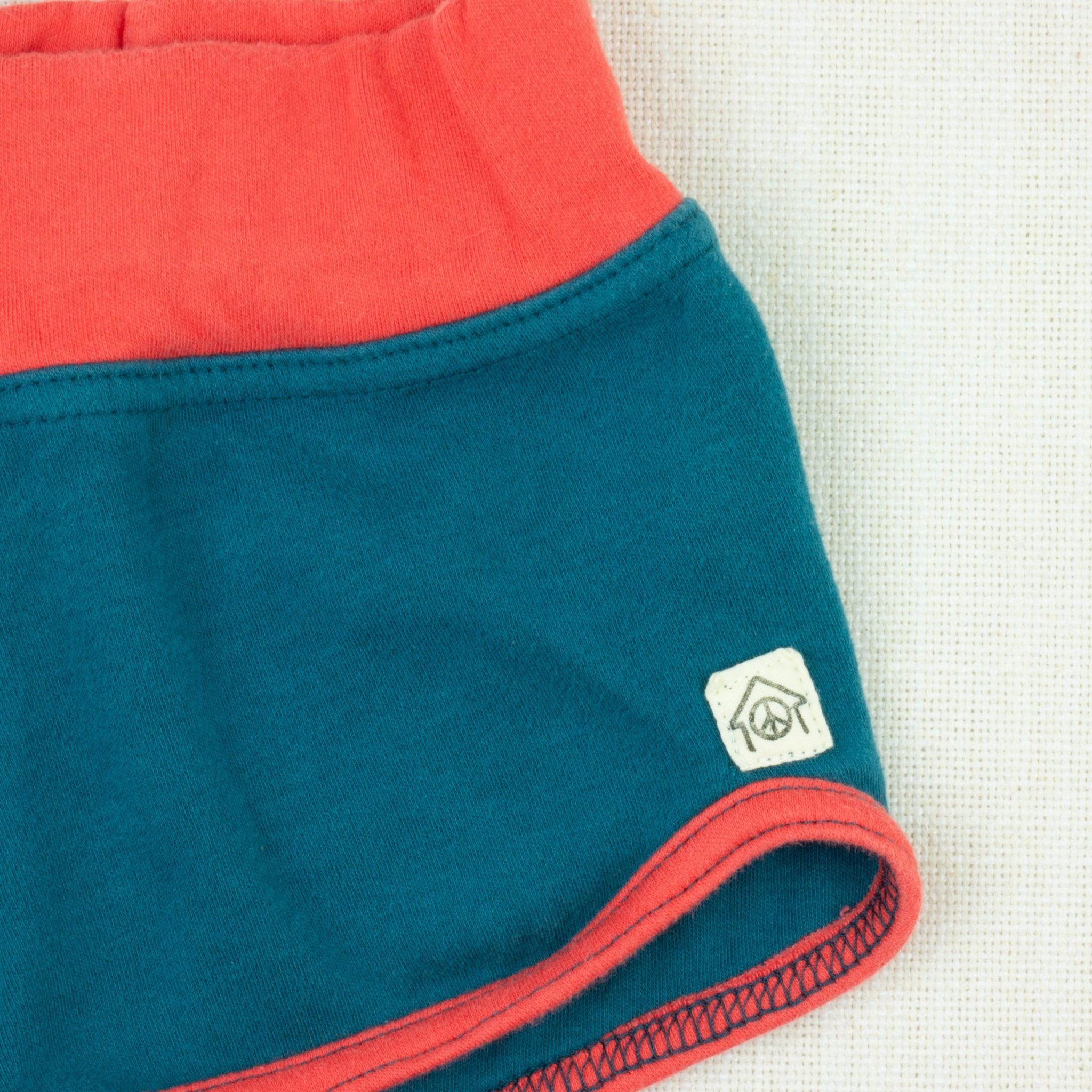 Preloved Dragonfly Gym Shorts Dragonfly