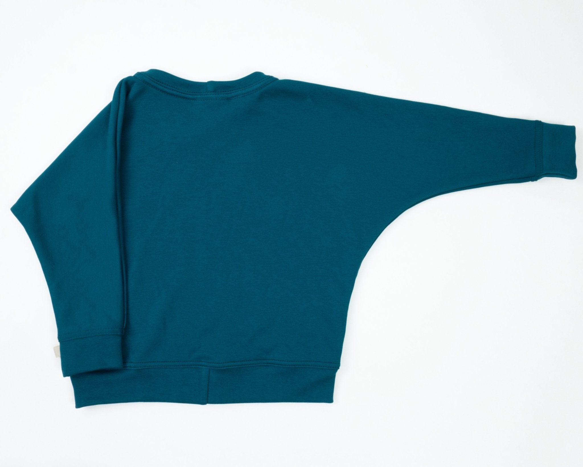 Simple Sweatshirt Dragonfly