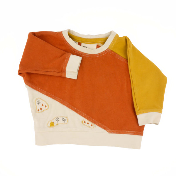 Preloved Harvest Colorblock Sweatshirt